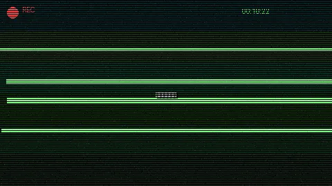 清晨公园散步 - 91暗网 日常记录